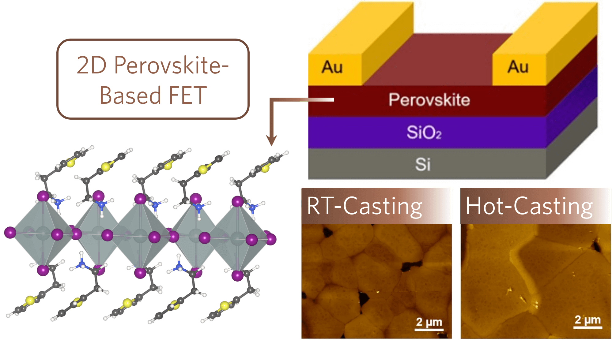 2D PVK-Based FET